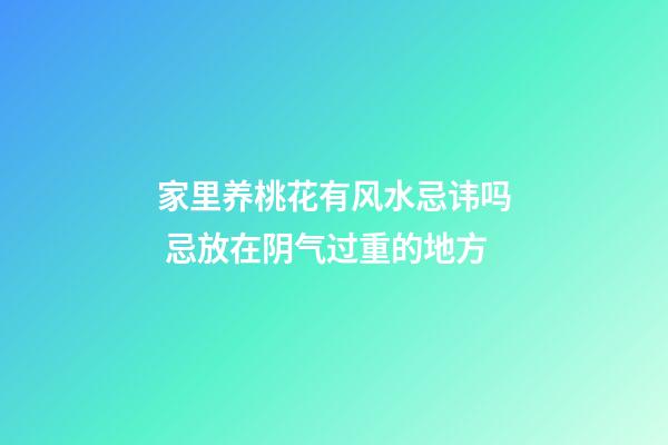 家里养桃花有风水忌讳吗 忌放在阴气过重的地方